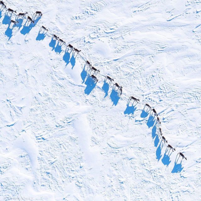 Florian Schulz - фото 217195