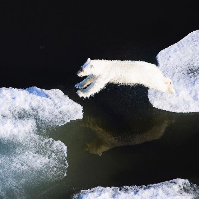 Florian Schulz - фото 217196