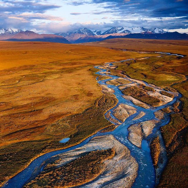 Florian Schulz - фото 217201