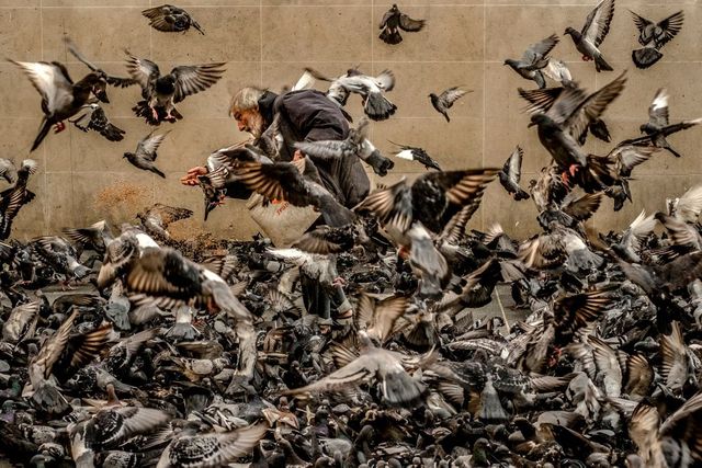 Переможці конкурсу вуличної фотографії LensCulture 2017 - фото 213745