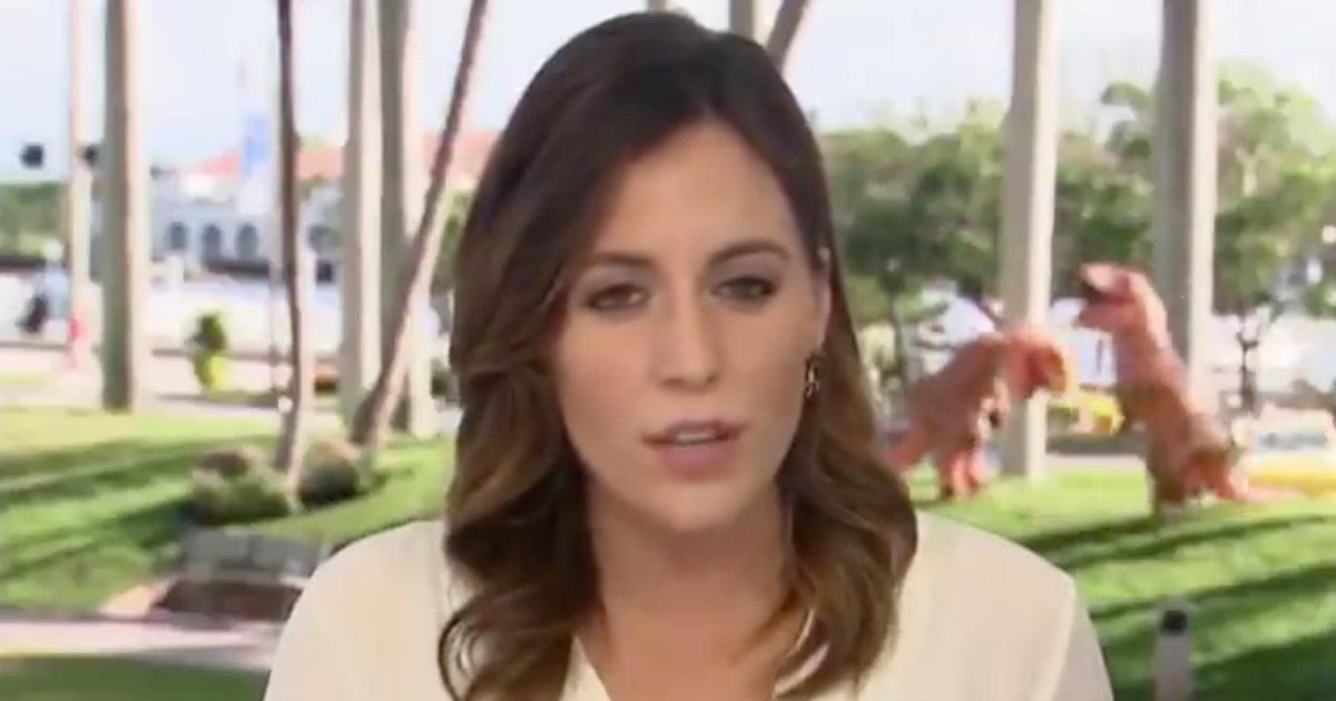 У США в прямому ефірі випадково побилися динозаври: епічне відео