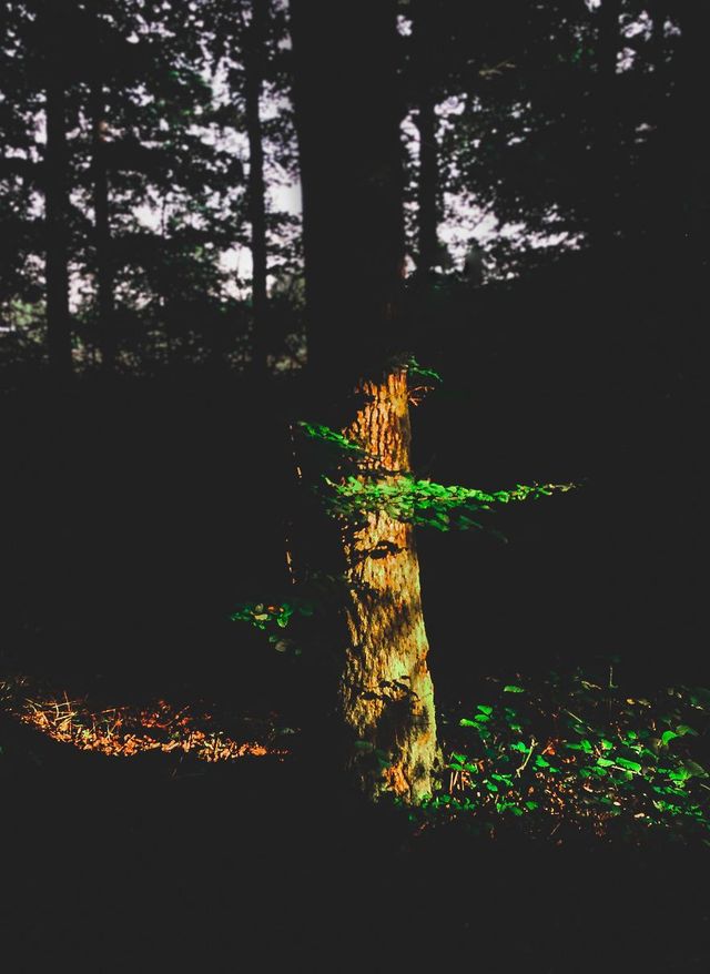 Mounir Belmokhtar - фото 213935