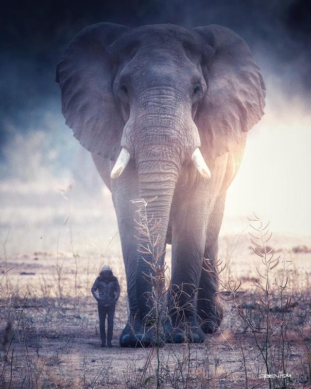 Eben McCrimmon - фото 217818