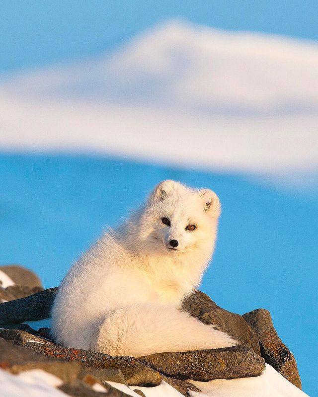 Florian Schulz - фото 217197
