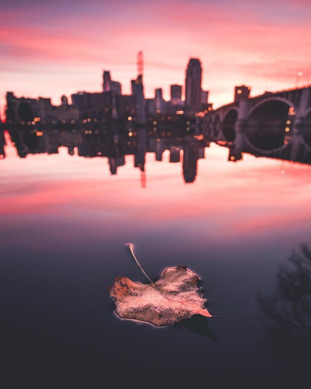 Joe Altwies- фото 216789