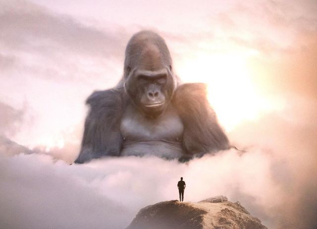 Eben McCrimmon - фото 217798