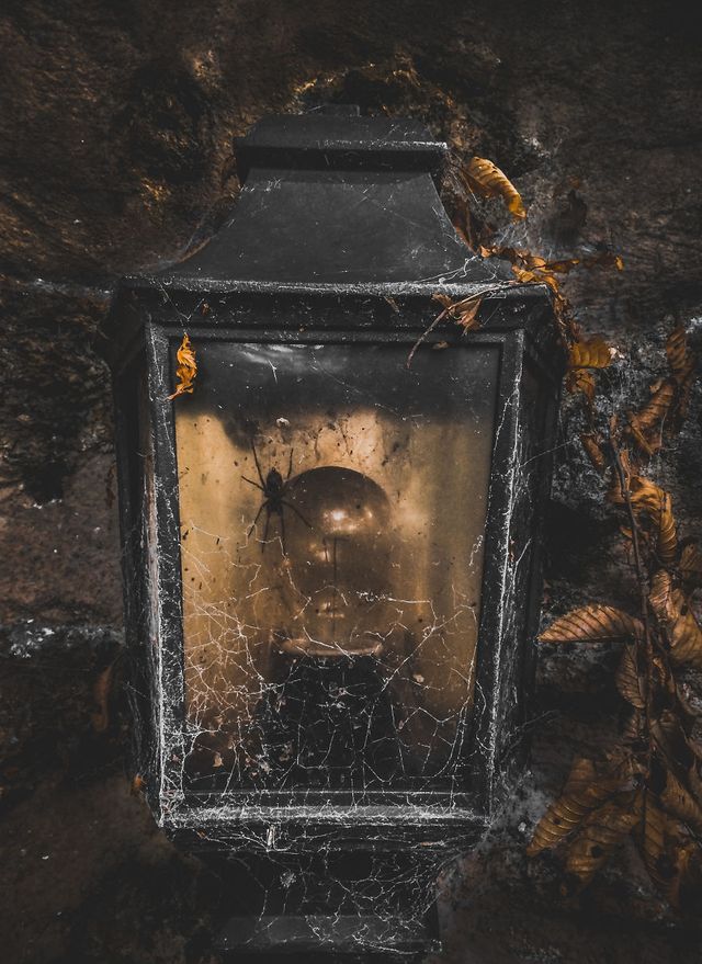 Mounir Belmokhtar - фото 213930