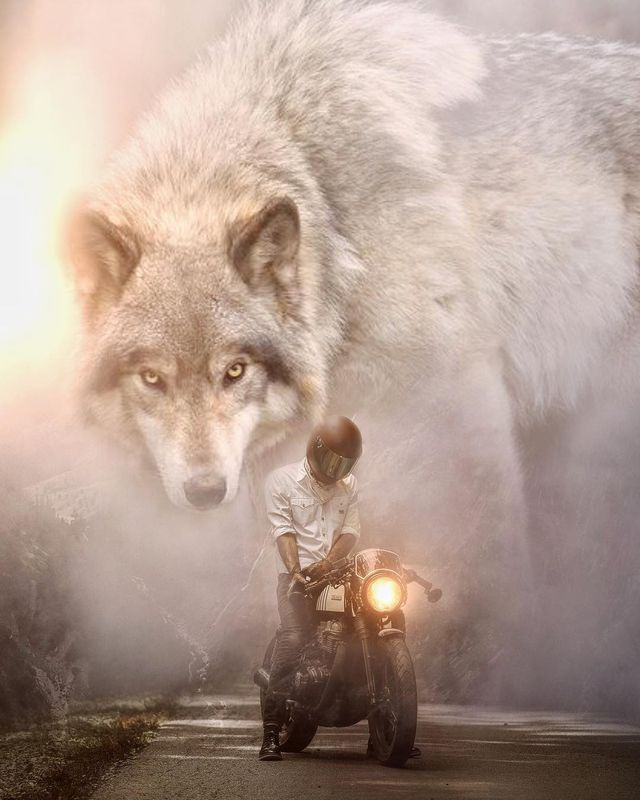 Eben McCrimmon - фото 217812