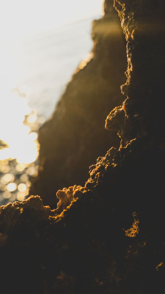 Mounir Belmokhtar - фото 213924