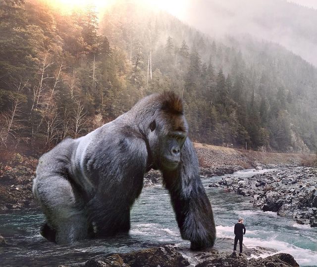 Eben McCrimmon - фото 217814