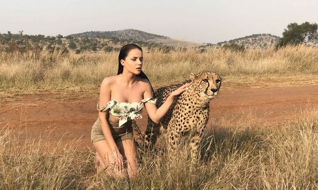 My Ree презентувала кліп з хижаками - фото 217312