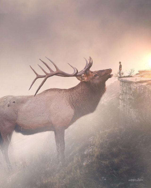 Eben McCrimmon - фото 217801