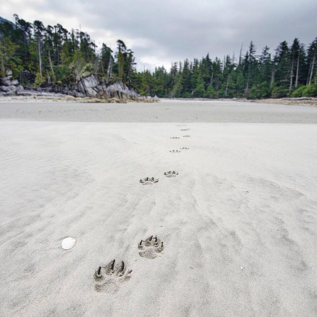 Florian Schulz - фото 217190