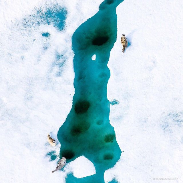 Florian Schulz - фото 217200