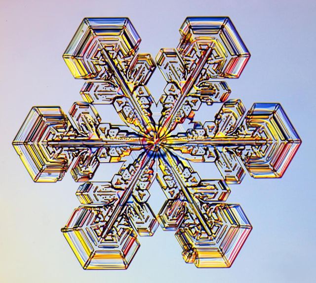 У каліфорнійській лабораторії виростили найбільшу в світі сніжинку - фото 217826