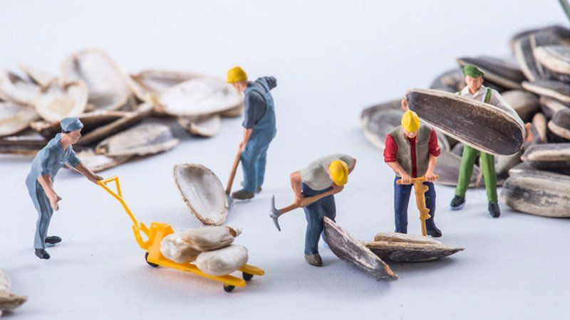 Дивовижний крихітний світ - фото 1