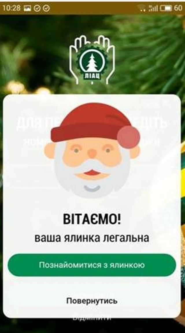 Як перевірити легальність ялинки - фото 215376