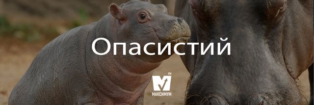 Говори красиво: 15 українських слів, які збагатять наше спілкування - фото 218215