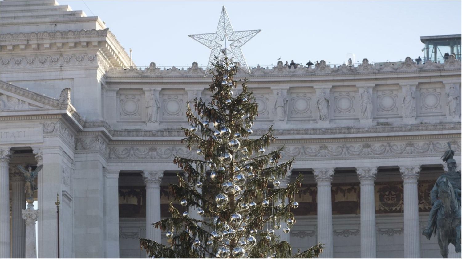 Ялинка постраждала під час транспортування - фото 1
