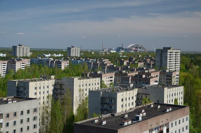 Коли природа перемагає бетони - фото 214933