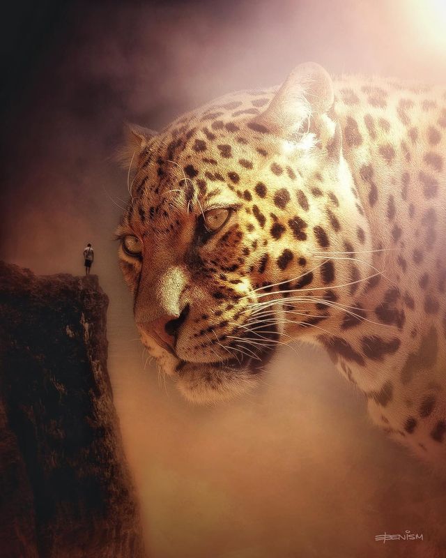 Eben McCrimmon - фото 217810