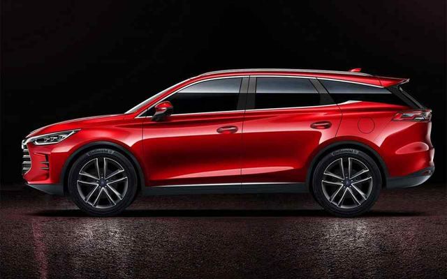 Tang - фото 218048