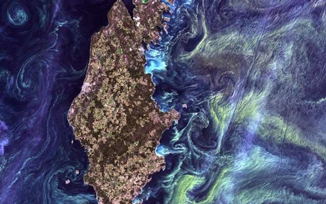 NASA показало барвисті фото Землі - фото 213189