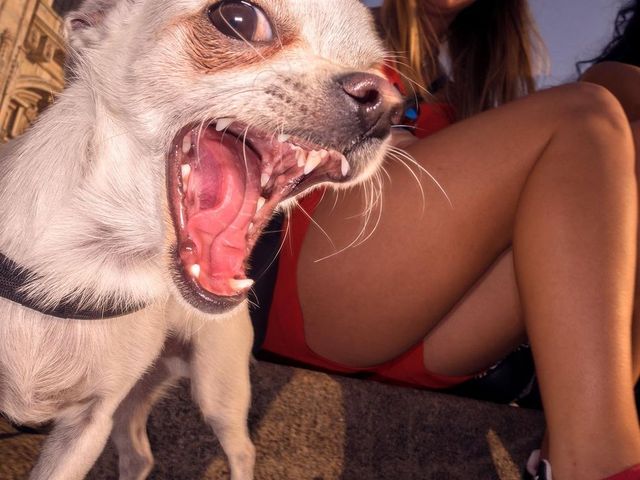 Переможці конкурсу вуличної фотографії LensCulture 2017 - фото 213737