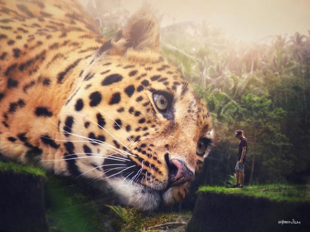 Eben McCrimmon - фото 217799