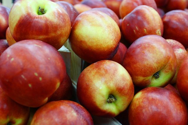 Для прискорення обміну речовин рекомендується їсти яблука - фото 215020