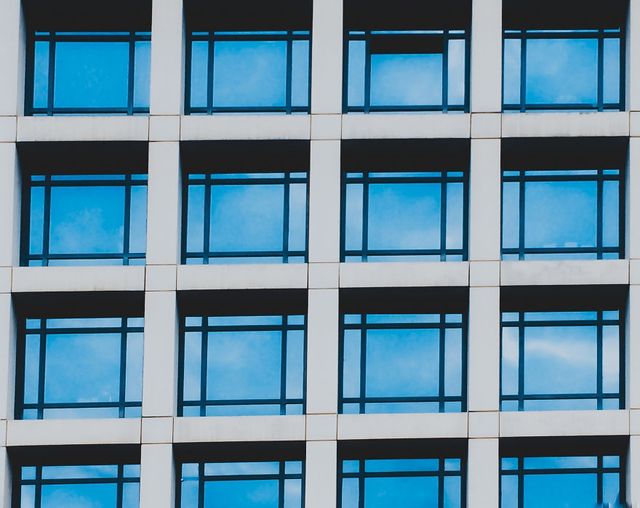 Mounir Belmokhtar - фото 213923