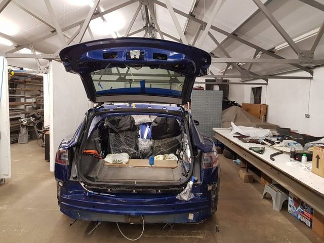 Британець удосконалив Tesla Model S задля свого собаки - фото 215759