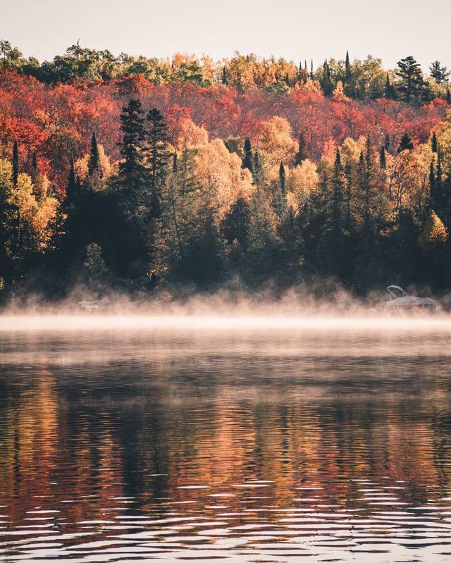 Joe Altwies- фото 216798