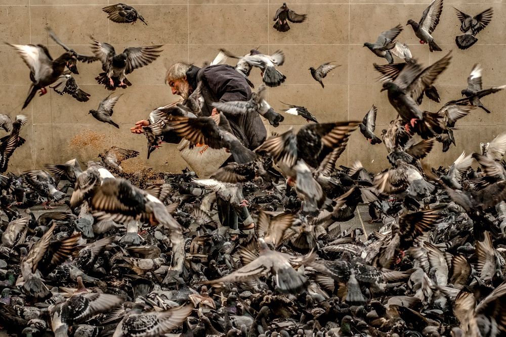 Переможці конкурсу вуличної фотографії LensCulture 2017