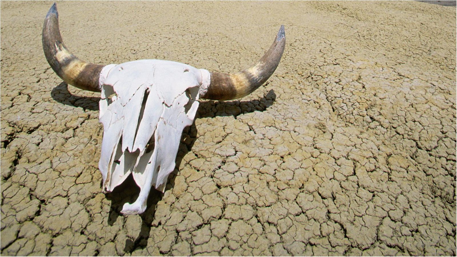 Загадкові місця, які звели з розуму багатьох вчених