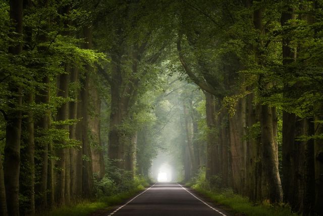 Літо - фото 213060