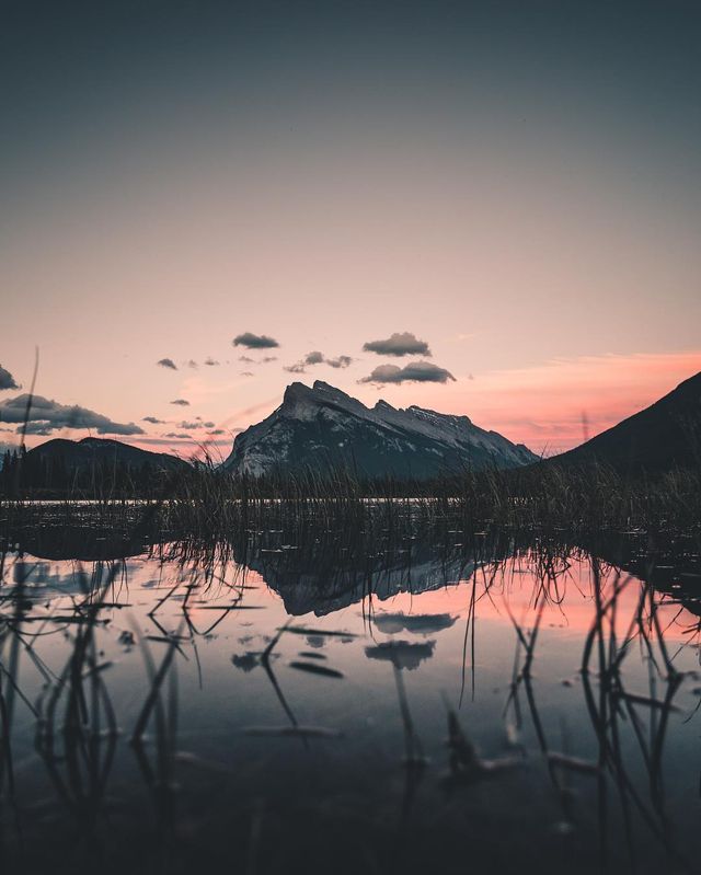 Joe Altwies- фото 216791