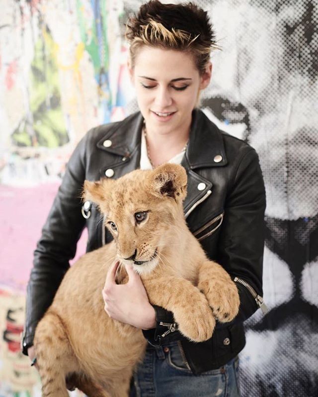 Крістен Стюарт знялася у благодійній фотосесії - фото 214622