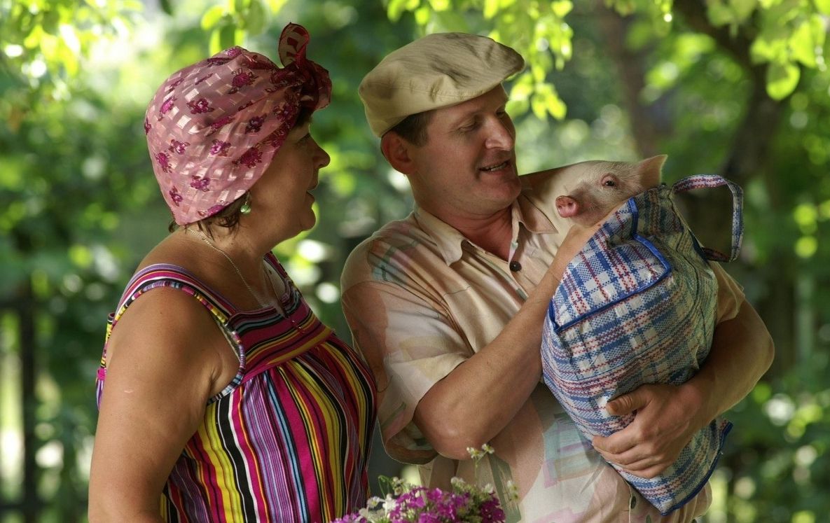 Скільки заробляв 95 квартал на серії Сватів - фото 1