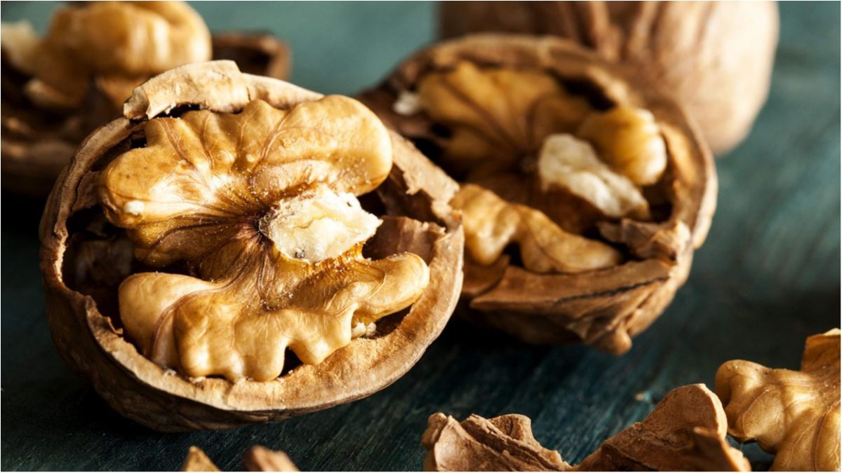 Споживання фісташок збільшує частоту гамма-ритму - фото 1