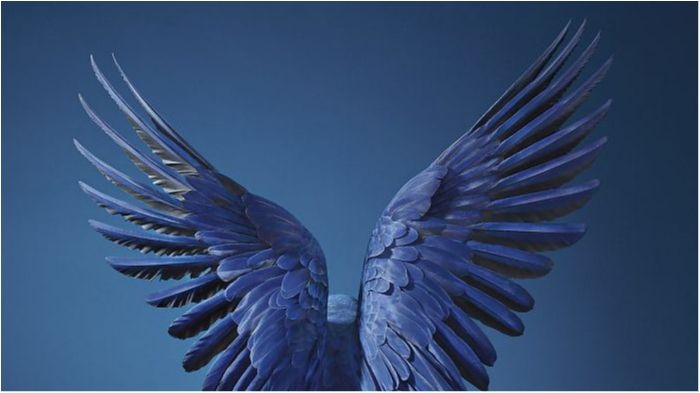 Фотограф витратив два роки на зйомку тварин, які на межі вимирання - фото 1