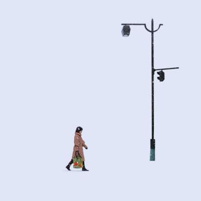 Wind of Okhotsk - фото 221289