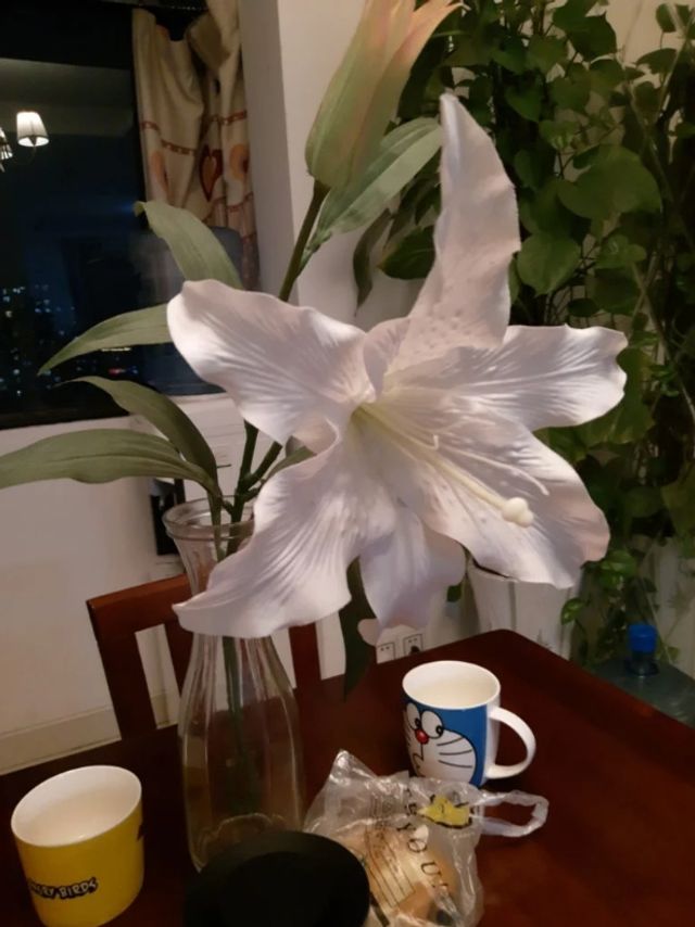 У мережі з'явилися фото, зняті на безрамковий Meizu M6S - фото 223127