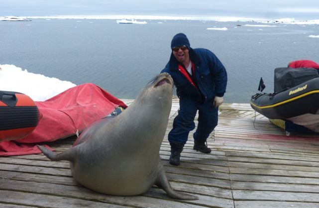 Морське слоненя заснуло в човні українських полярників - фото 1
