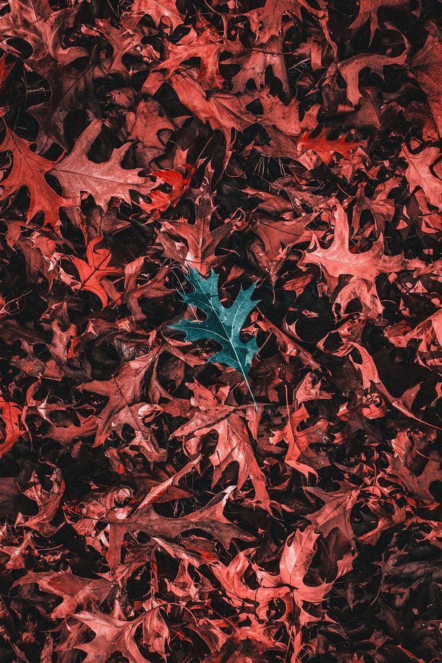 Davide Sasso - фото 219202