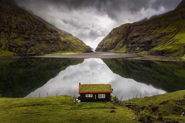 Janne Kahila - фото 224003