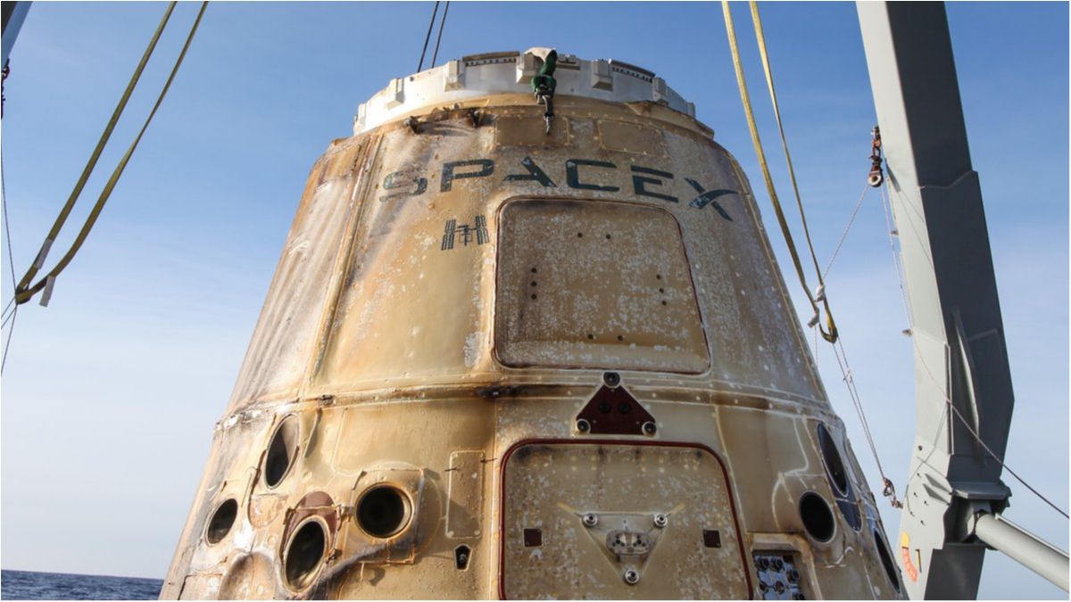 На Землю також повернулися зразки рослин - фото 1