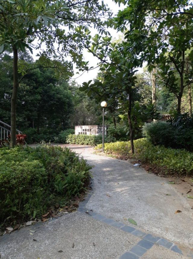 У мережі з'явилися фото, зняті на безрамковий Meizu M6S - фото 223131