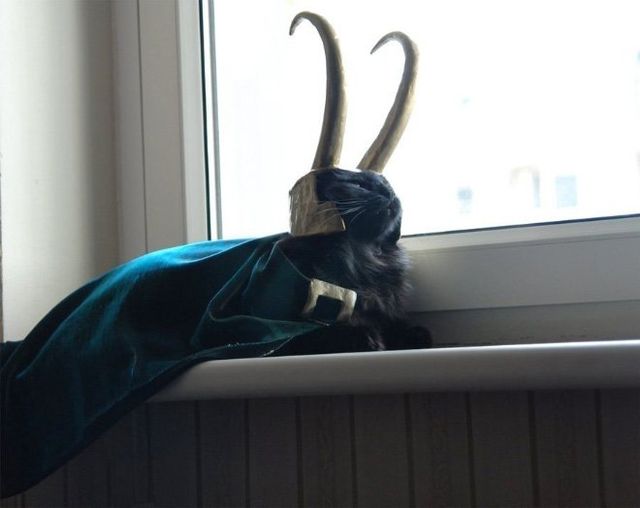 zefirka - фото 219416