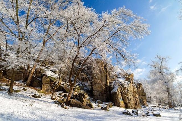 Засніжена Хортиця - фото 223457